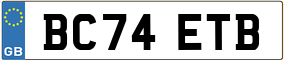 Trailer License Plate